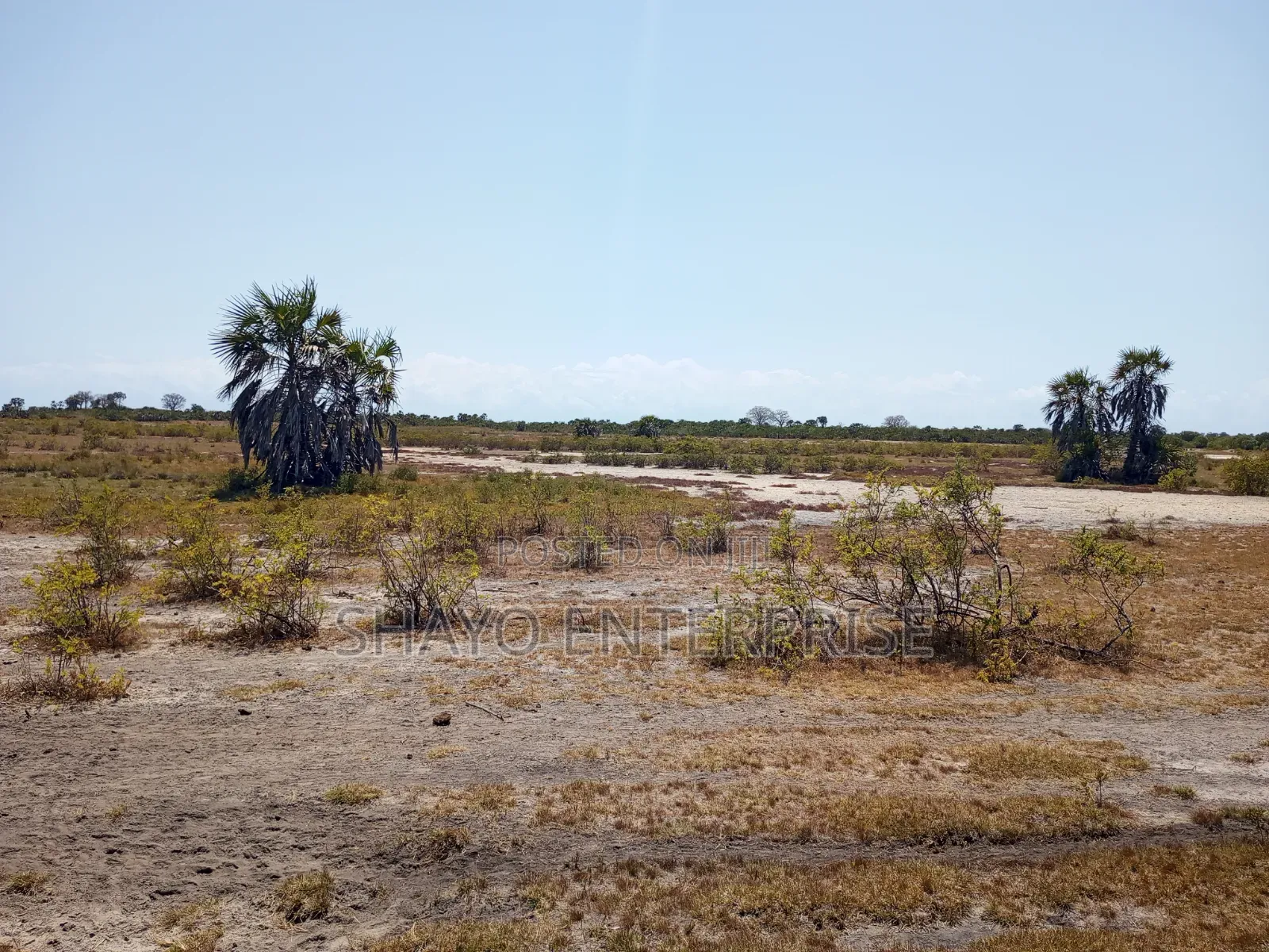 Mashamba Yanauzwa in Kiromo