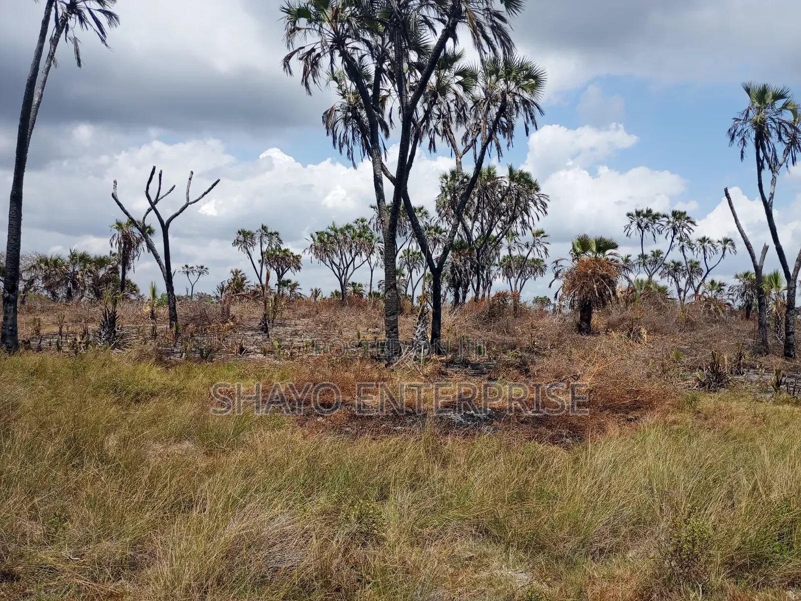 Mashamba Yanauzwa in Kiromo