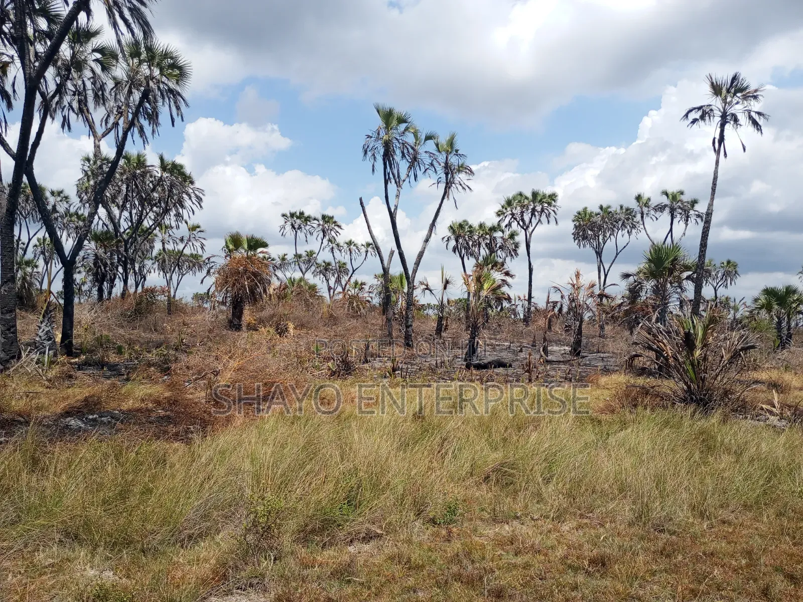 Mashamba Yanauzwa in Kiromo