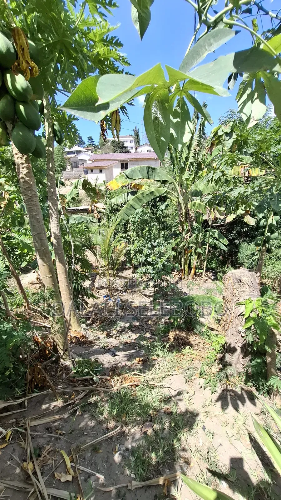 Plot at Changanyikeni Udsm in Kinondoni