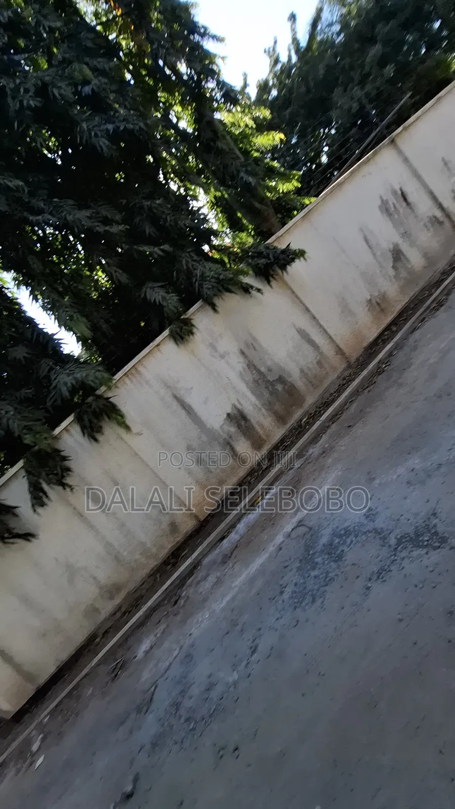 4bdrm Bungalow in Masaki Chole Road for sale in Masaki