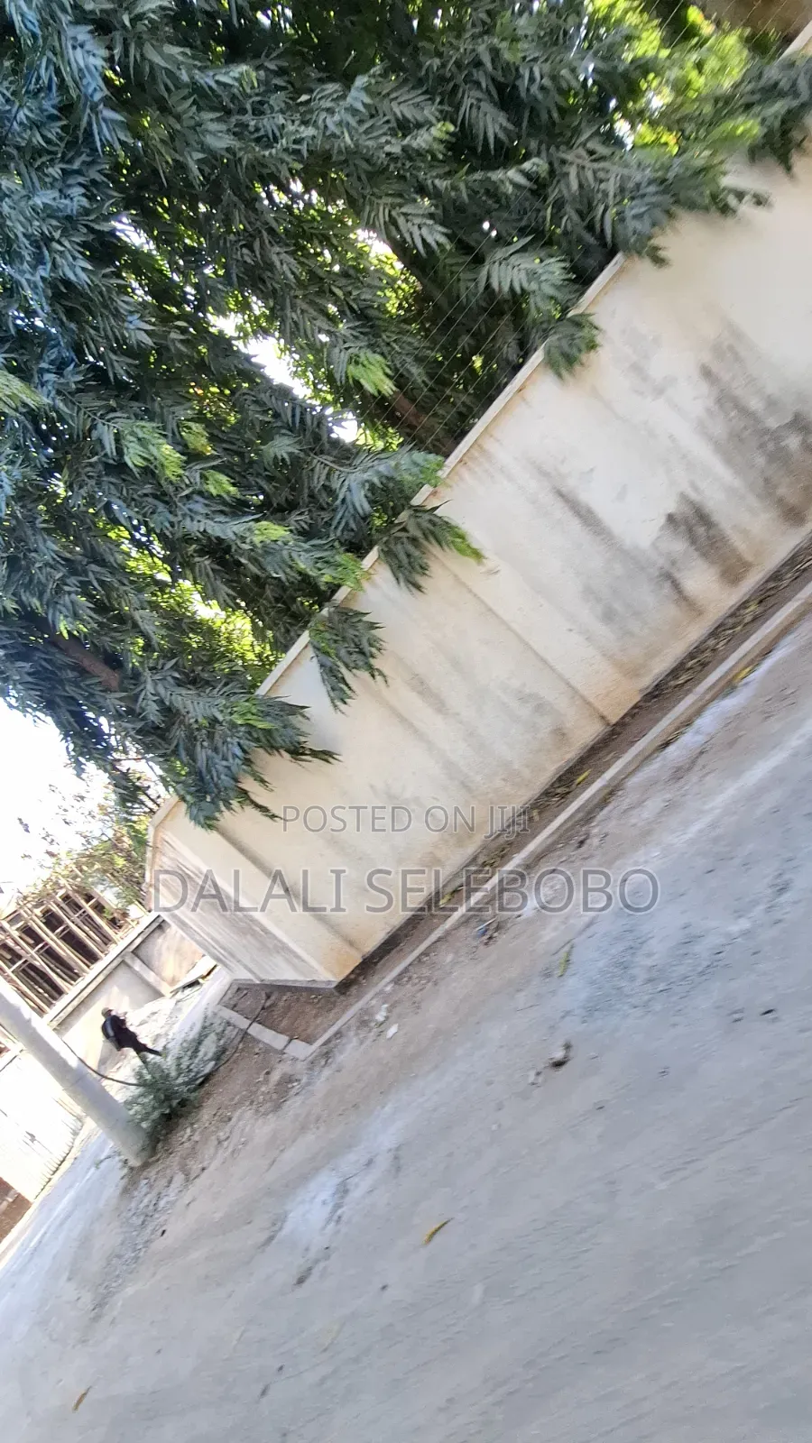 4bdrm Bungalow in Masaki Chole Road for sale in Masaki