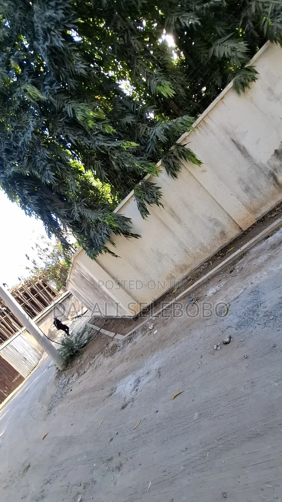 4bdrm Bungalow in Masaki Chole Road for sale in Masaki