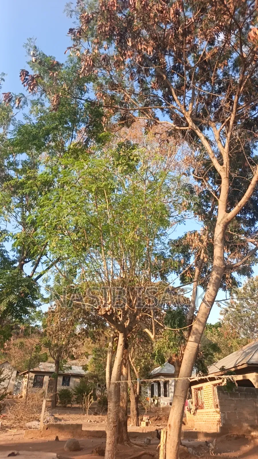 Furnished 8bdrm House in Mkolani for sale in Mkolani