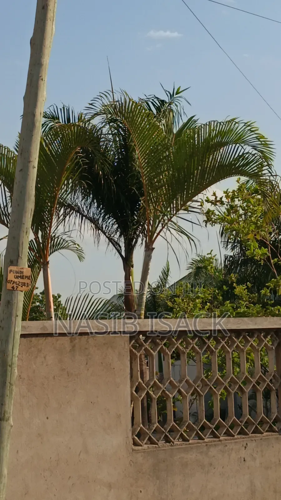 Kiwanja Kinauzwa Mkolan Texas in Mkolani
