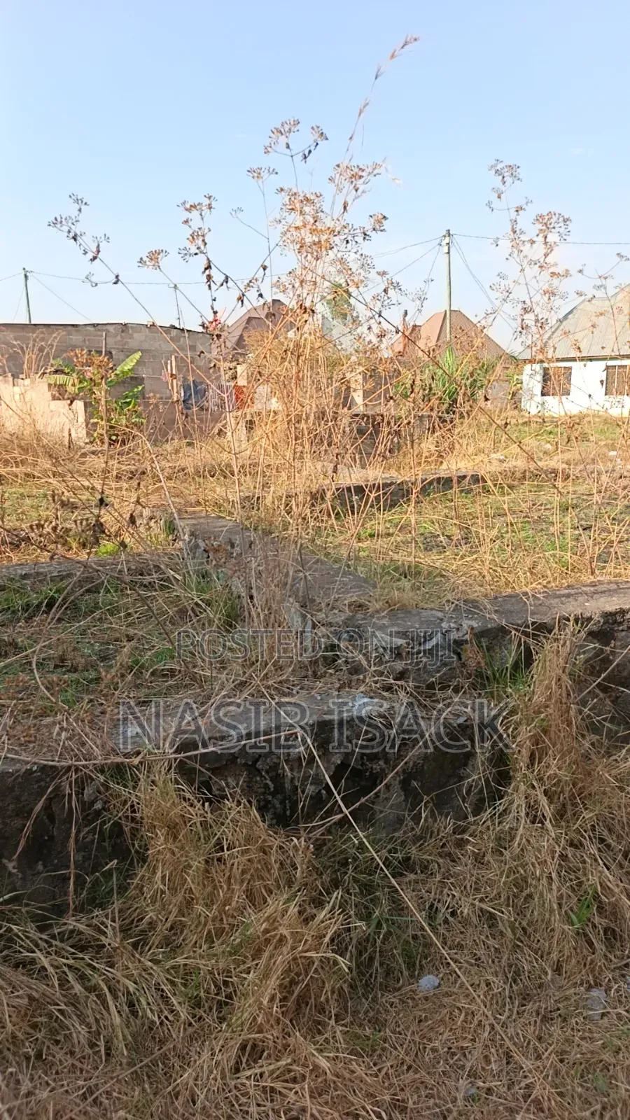 Kiwanja Kinauzwa Mkolan Texas in Mkolani