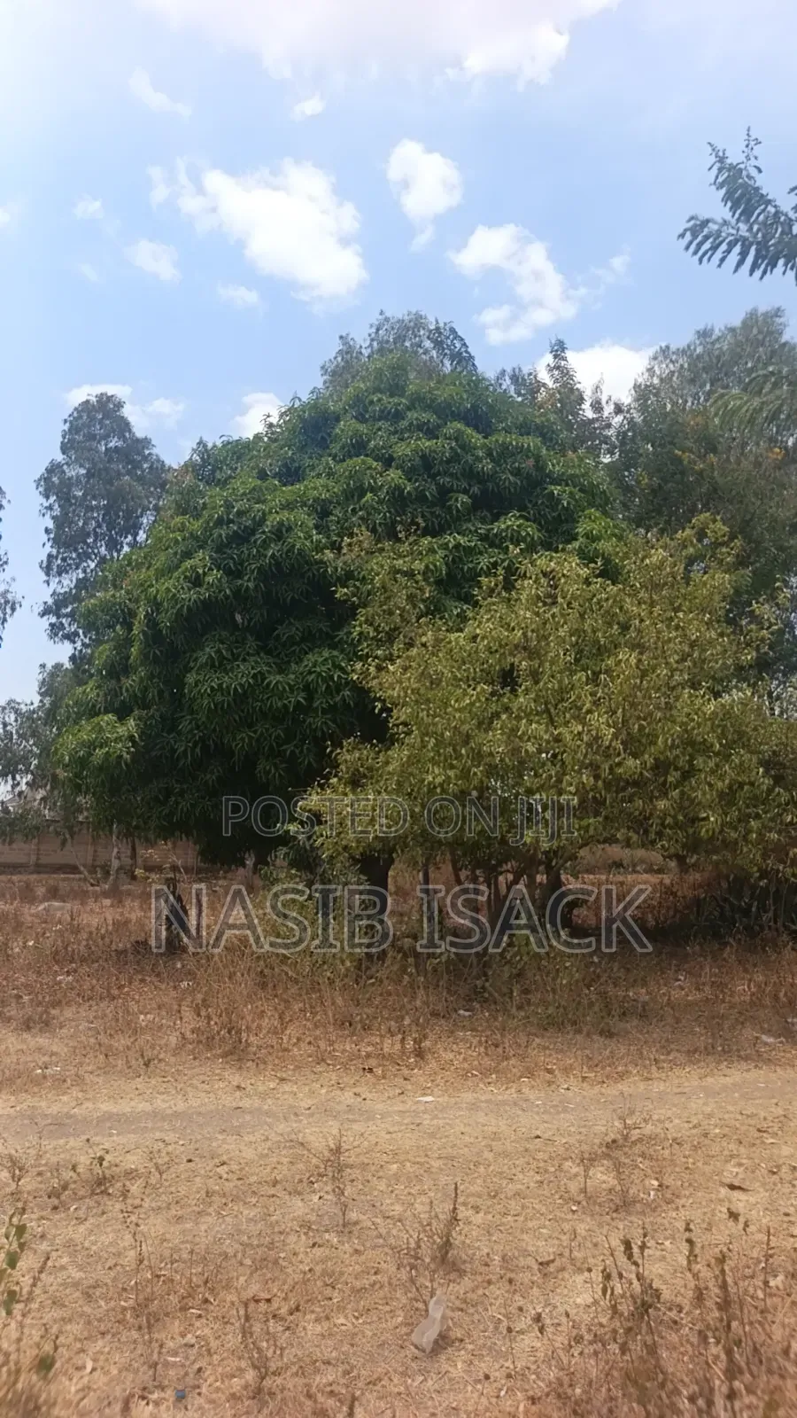 Kiwanja Kinauzwa Mwanza Busweru in Buswelu