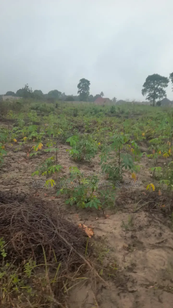 Cheap Industrial Plot for Sale Visiga Madafu in Visiga