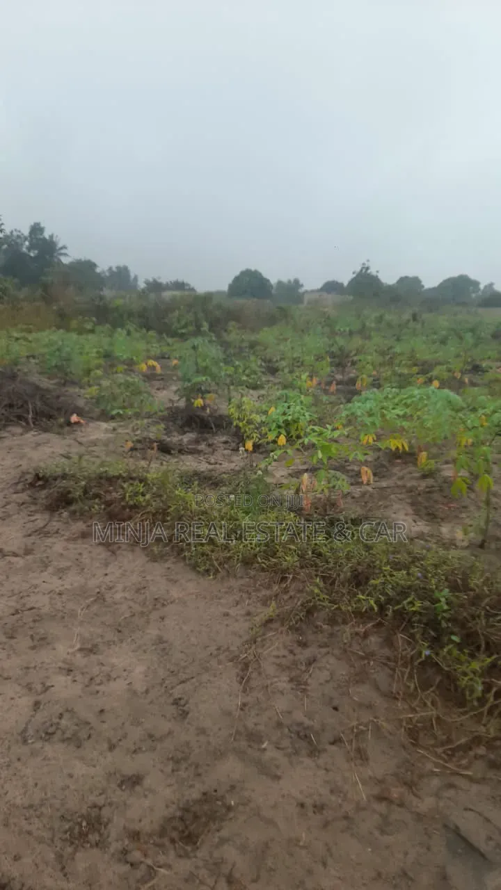 Cheap Industrial Plot for Sale Visiga Madafu in Visiga