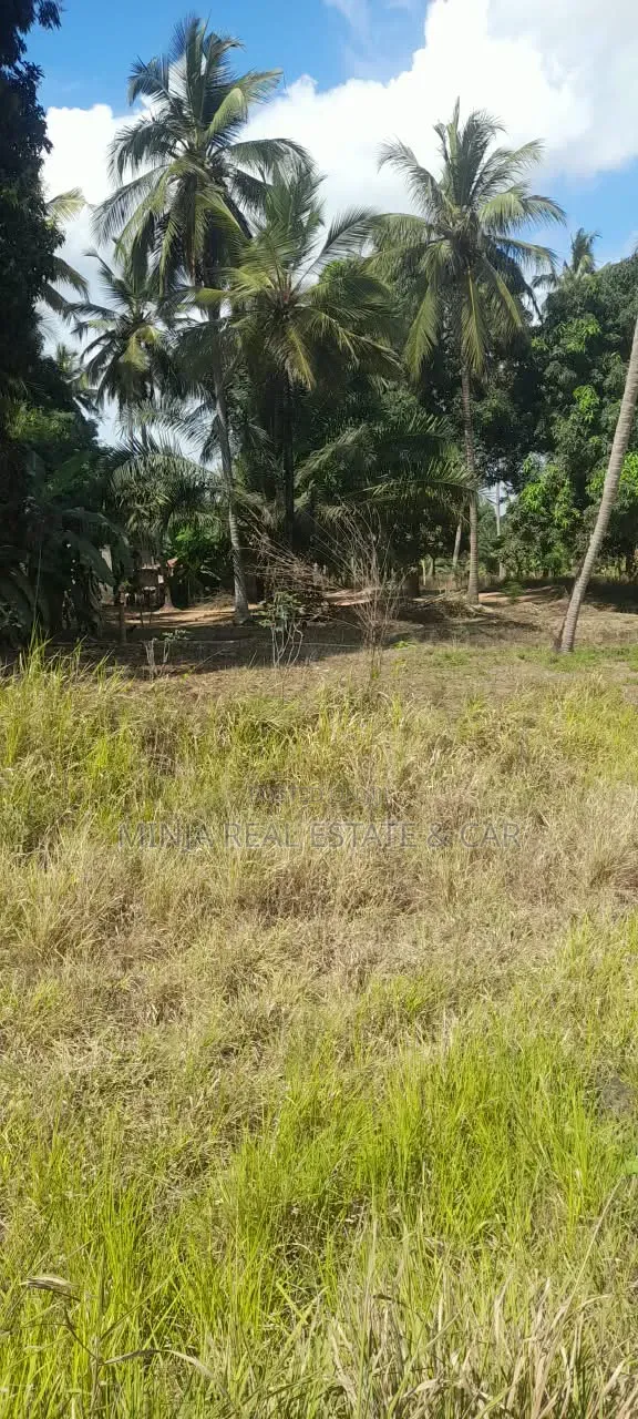 Land for Sale Along Morogoro Road Kongowe Kibaha in Visiga