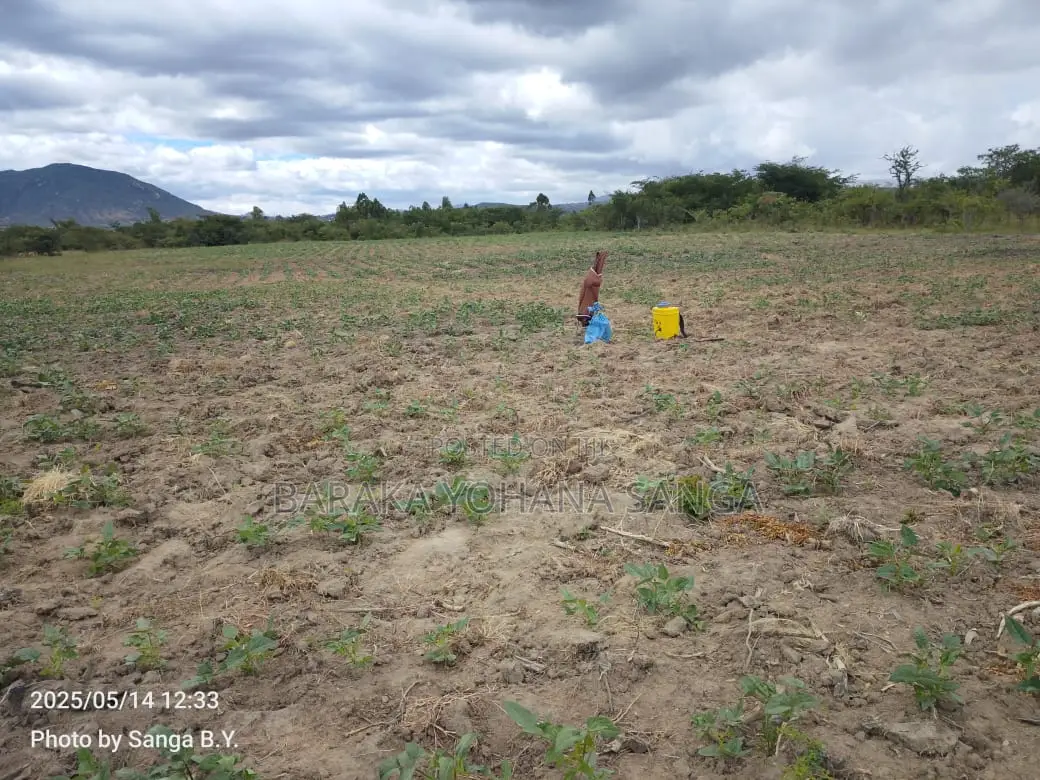 Shamba Ekari 17 Linahati Linauzwa Ufunda Wilaya Ya Iringa in Ifunda