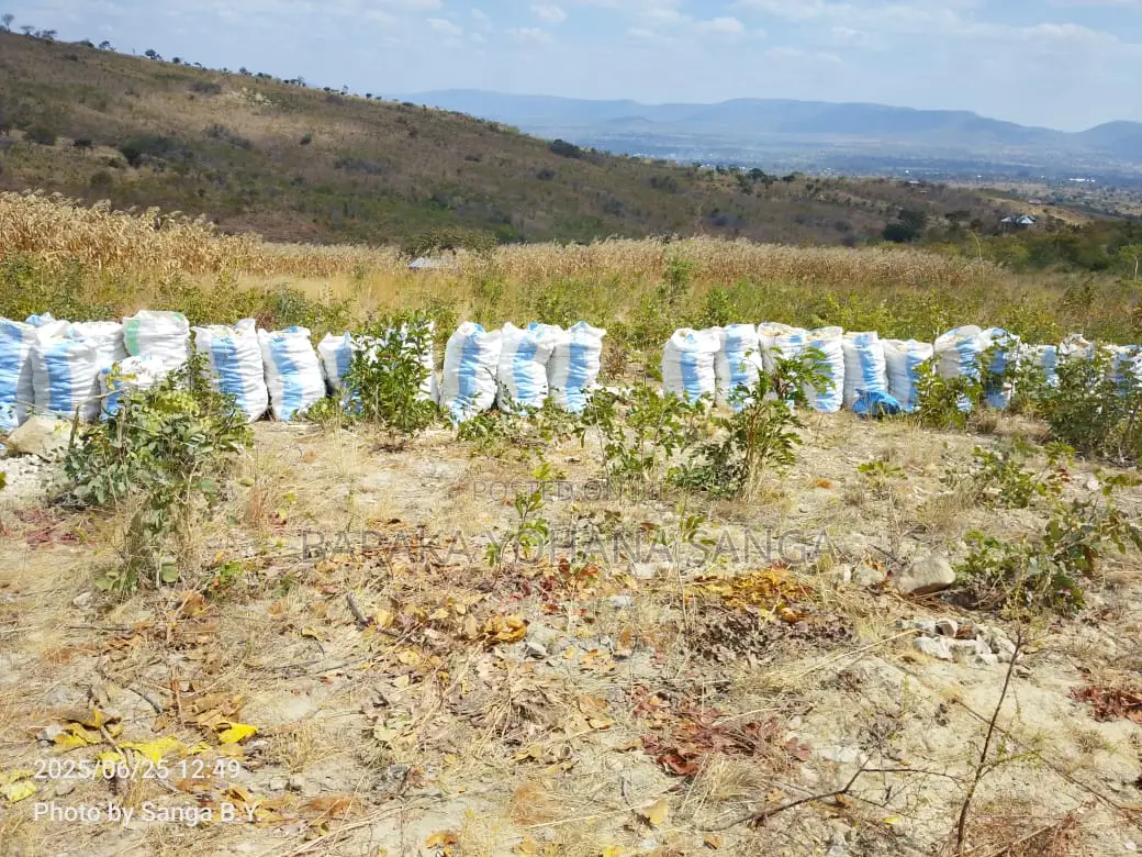 Shamba Ekari 17 Linahati Linauzwa Ufunda Wilaya Ya Iringa in Ifunda
