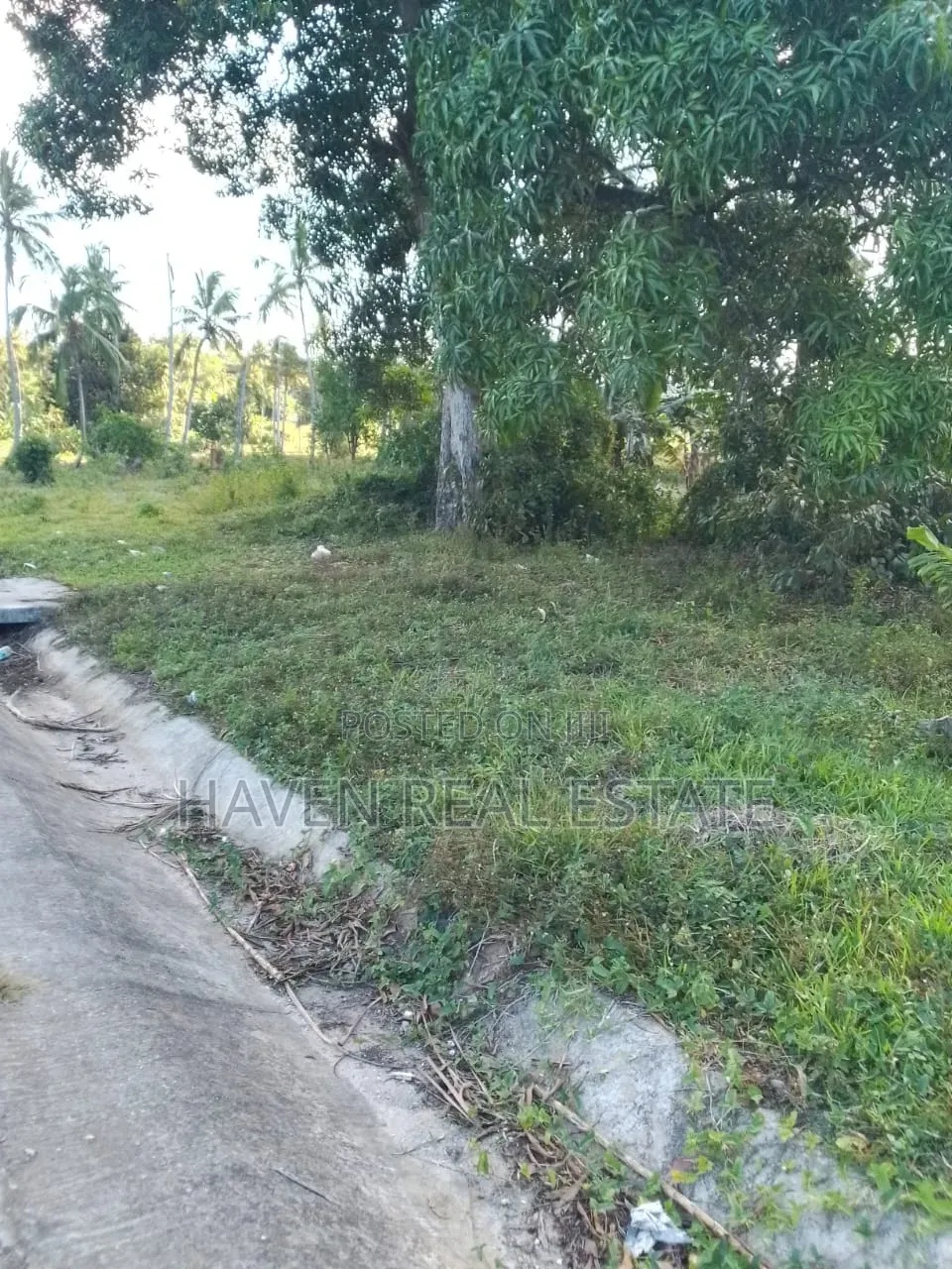 Farm Land for Sale at Kitope Zanzibar in Kati