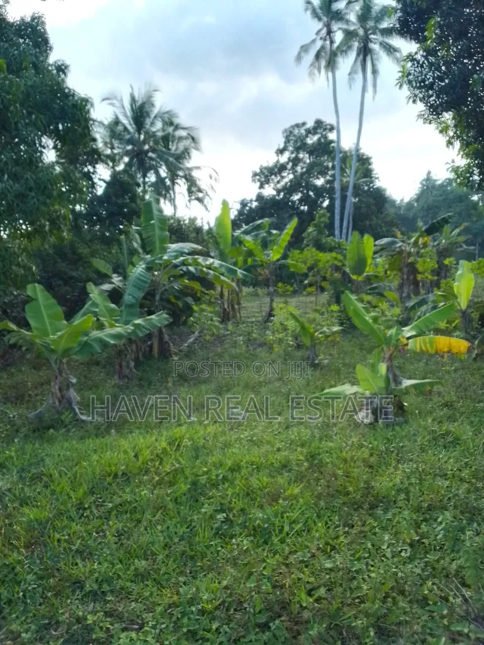 Farm Land for Sale at Kitope Zanzibar in Kati
