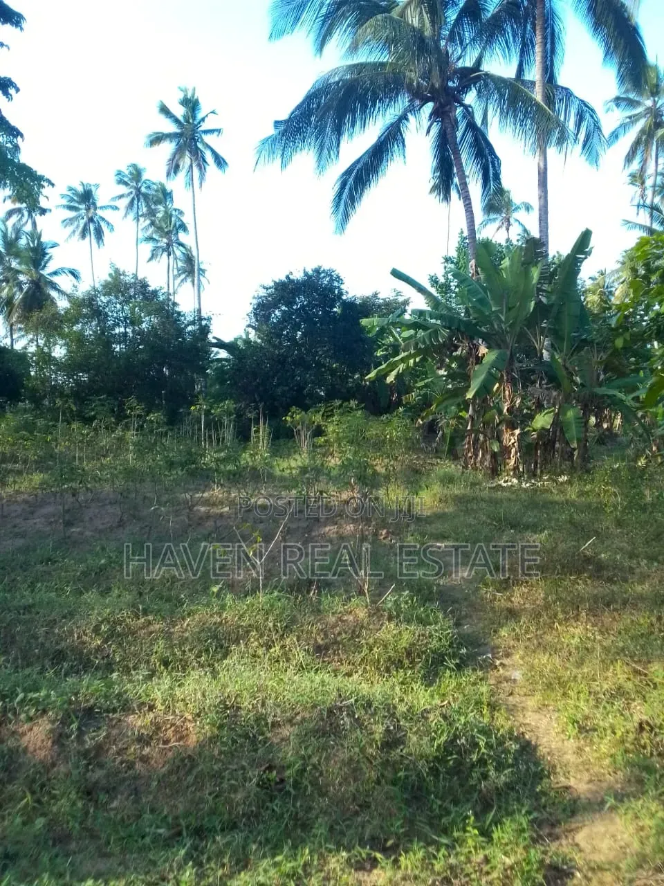 Farm Land for Sale at Kitope Zanzibar in Kati