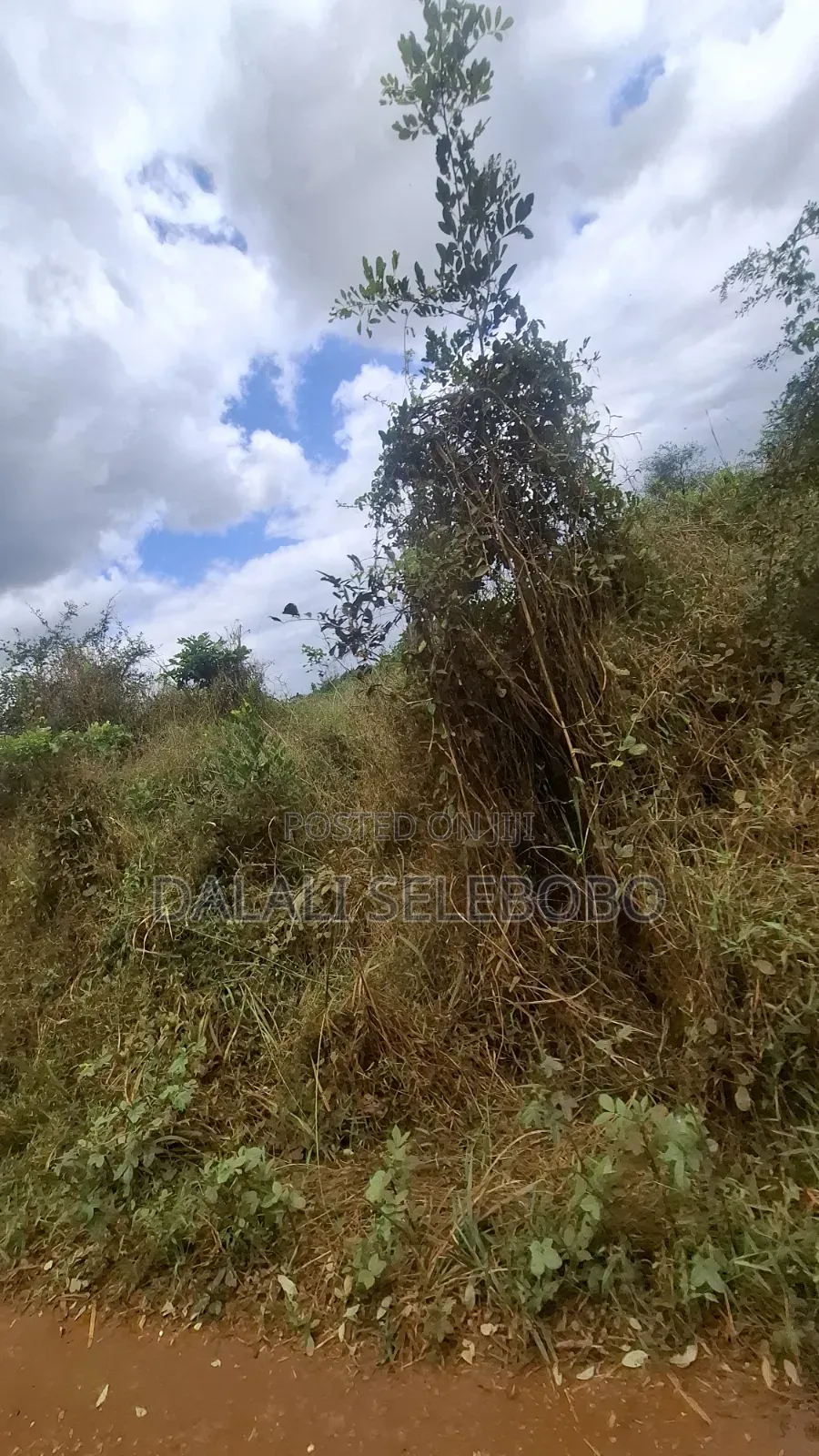 9hector 4 Mining at Bahi Dodoma Mpalanga Full Document in Bahi