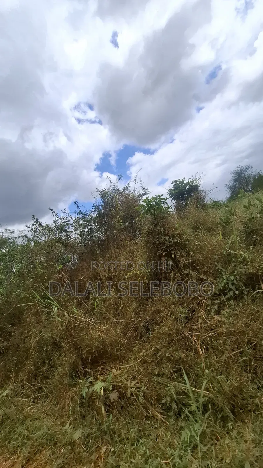 9hector 4 Mining at Bahi Dodoma Mpalanga Full Document in Bahi