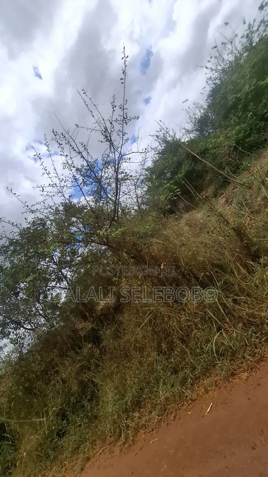 9hector 4 Mining at Bahi Dodoma Mpalanga Full Document in Bahi