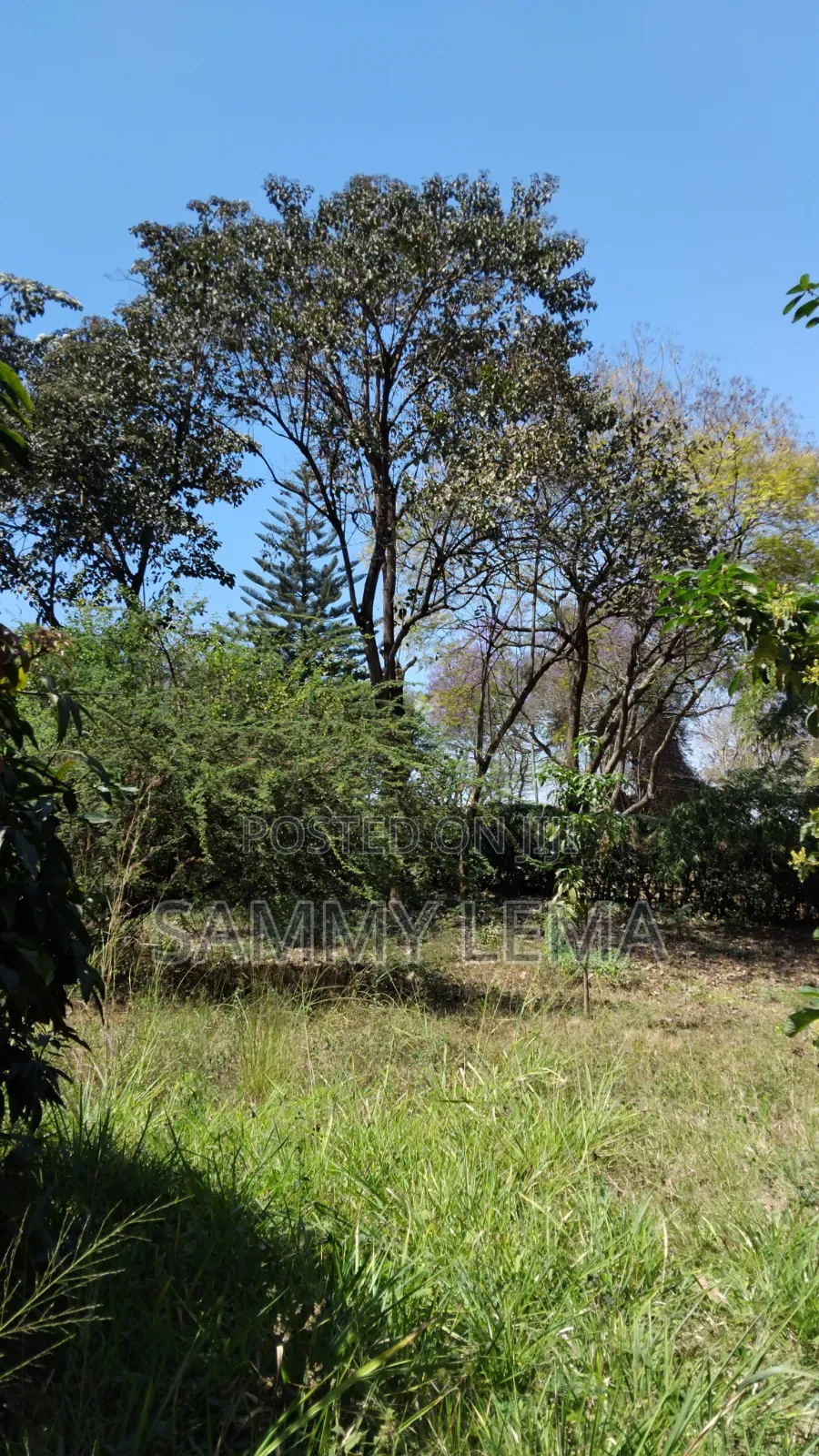 Great Plot for Business or Residential in Sakina in Njiro
