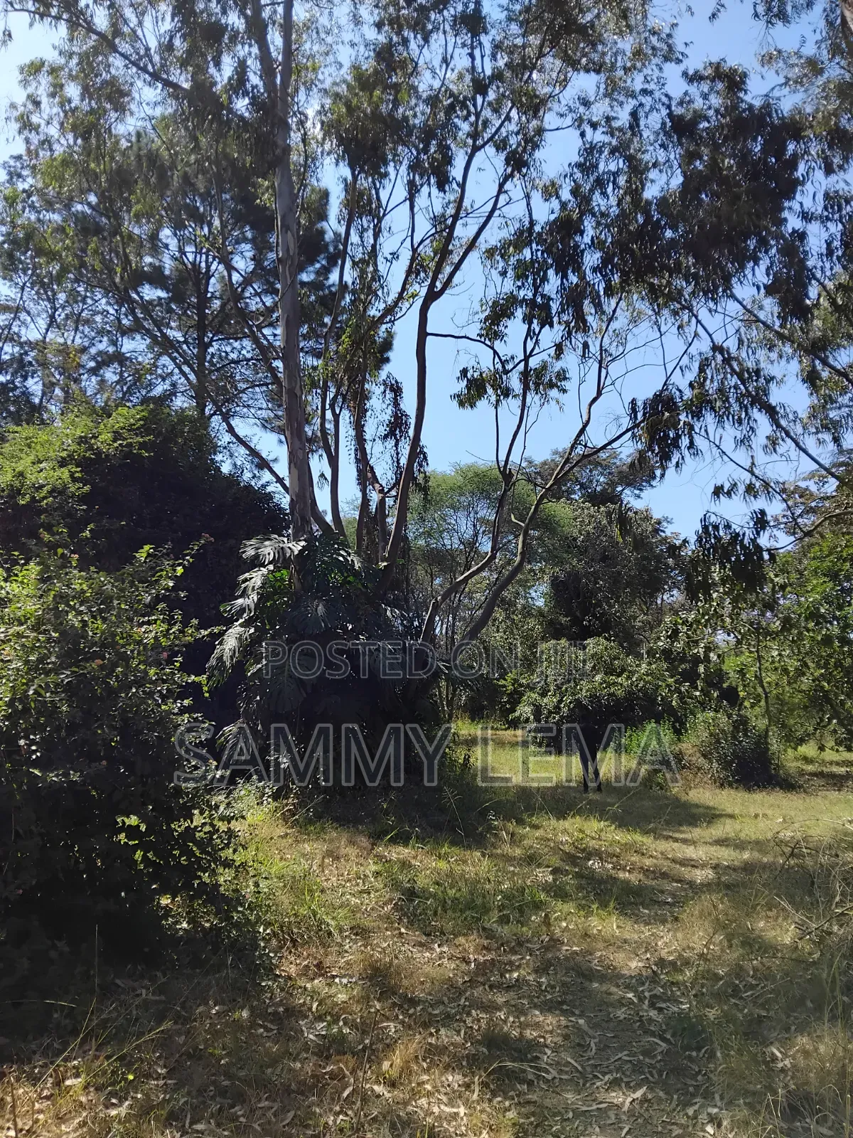 Great Plot for Business or Residential in Sakina in Njiro