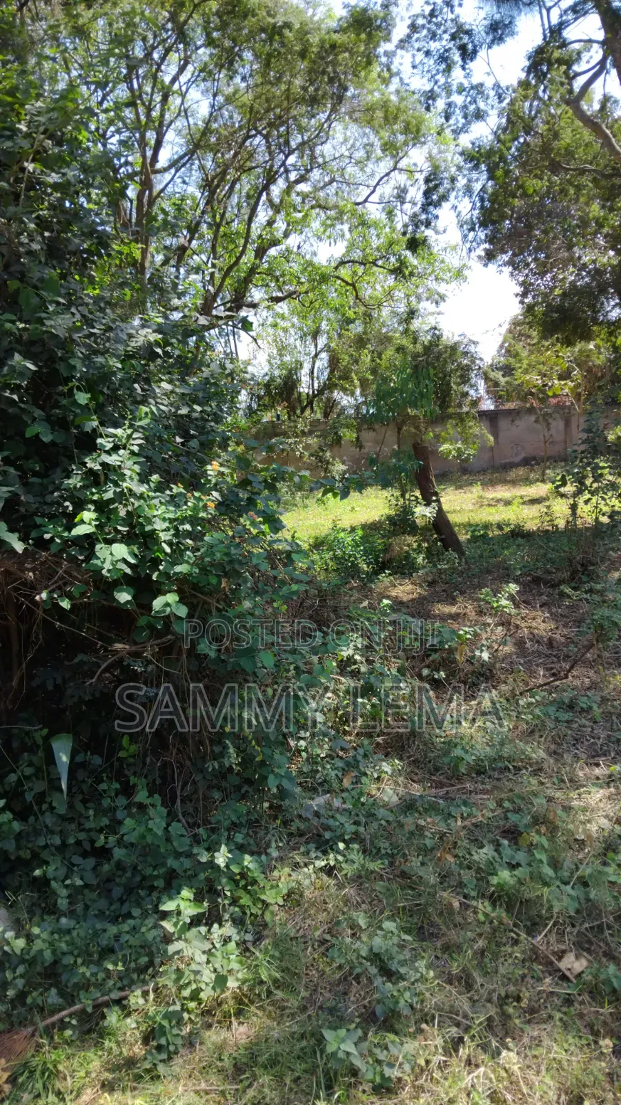 Great Plot for Business or Residential in Sakina in Njiro