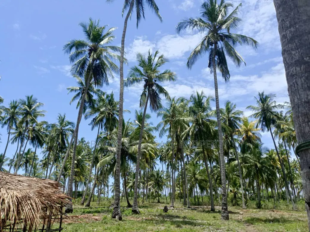 Beach Plot for Sale at Kitame Bagamoyo Road to Pangani in Kimange