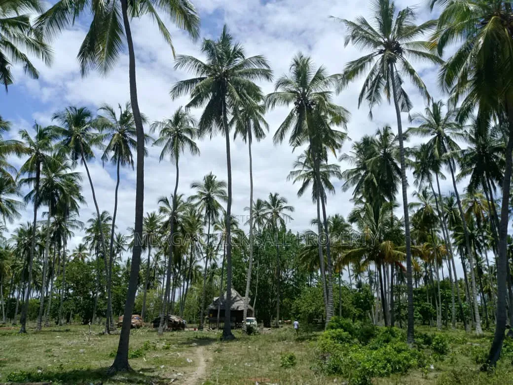 Beach Plot for Sale at Kitame Bagamoyo Road to Pangani in Kimange