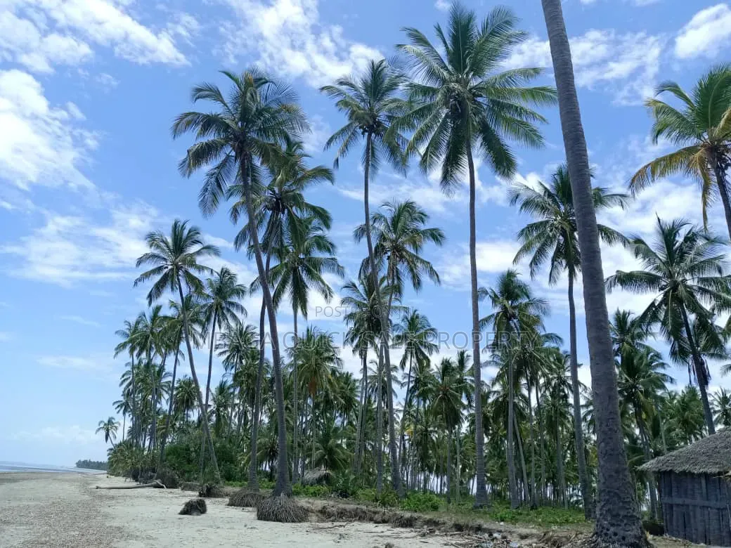 Beach Plot for Sale at Kitame Bagamoyo Road to Pangani in Kimange