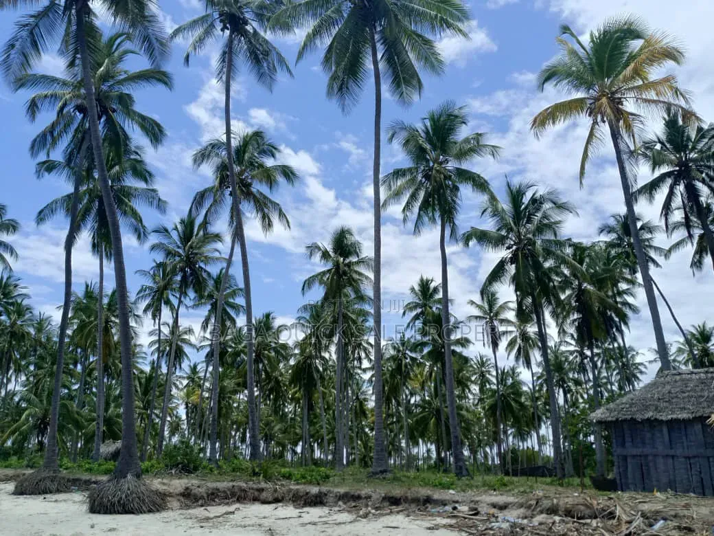 Beach Plot for Sale at Kitame Bagamoyo Road to Pangani in Kimange