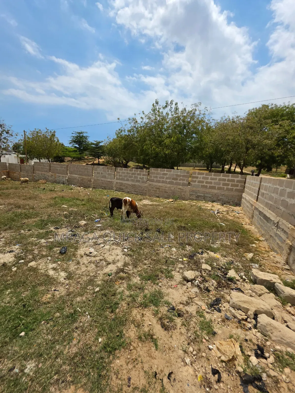 Plot Area SQM 450 for Sale in Salasala in Mbezi Beach