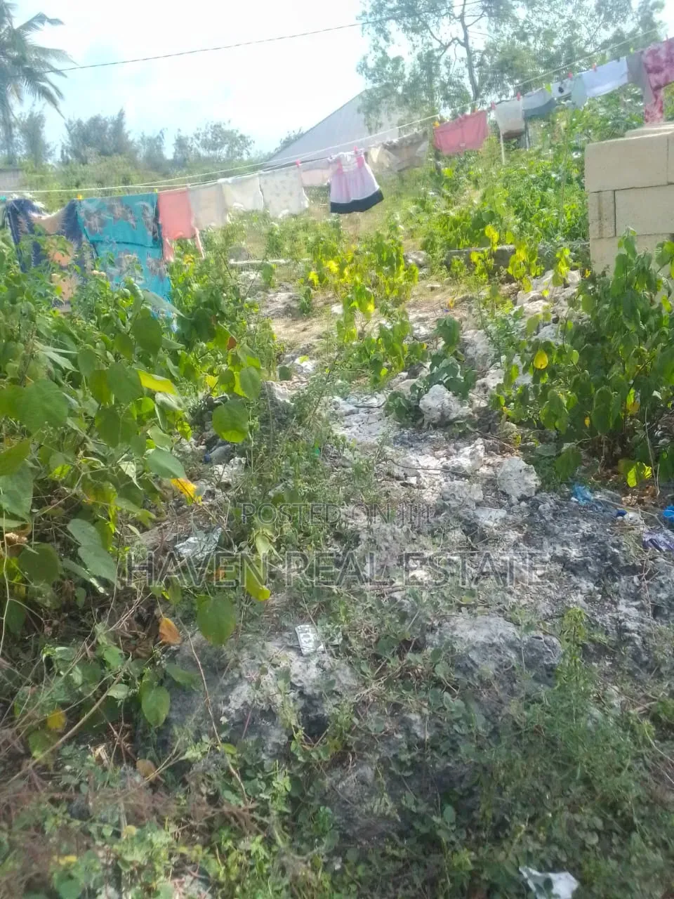 Plot for Sale at Jambiani Zanzibar in Kaskazini A