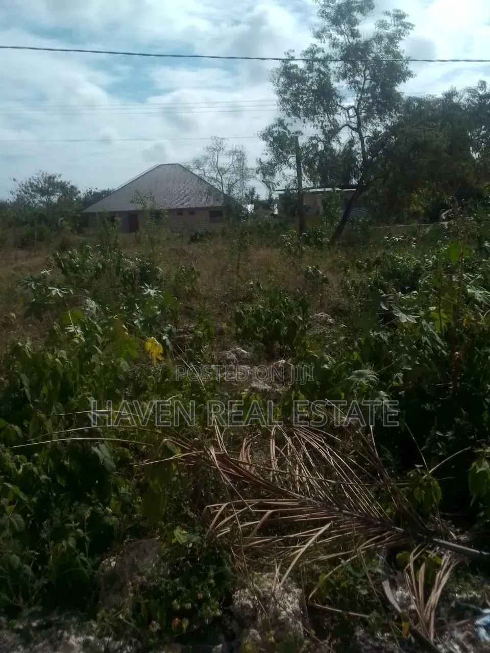 Plot for Sale at Jambiani Zanzibar in Kaskazini A