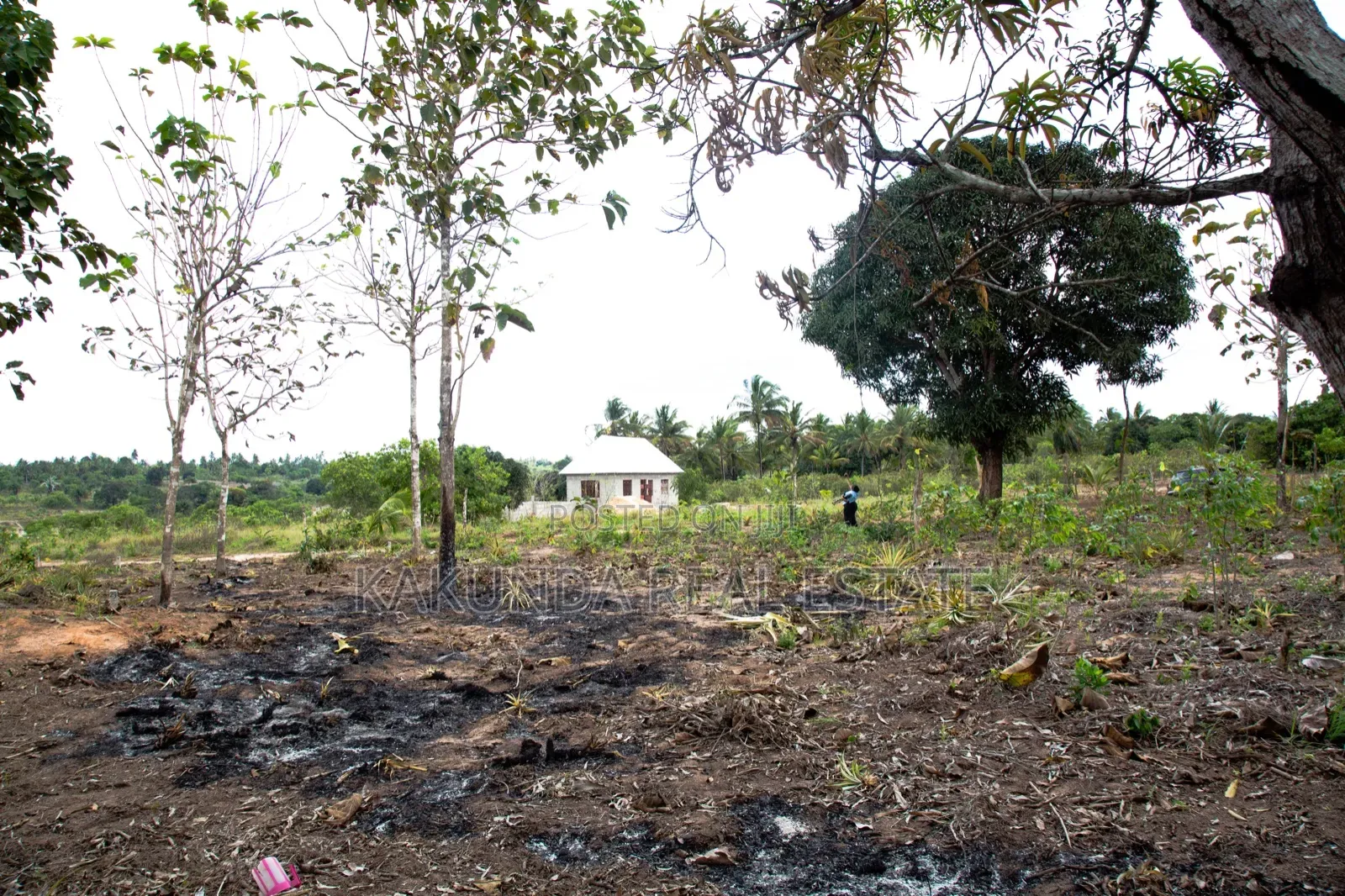 Mradi Mpya Bagamoyo Kilomo Shule Ya Msingi in Kiromo