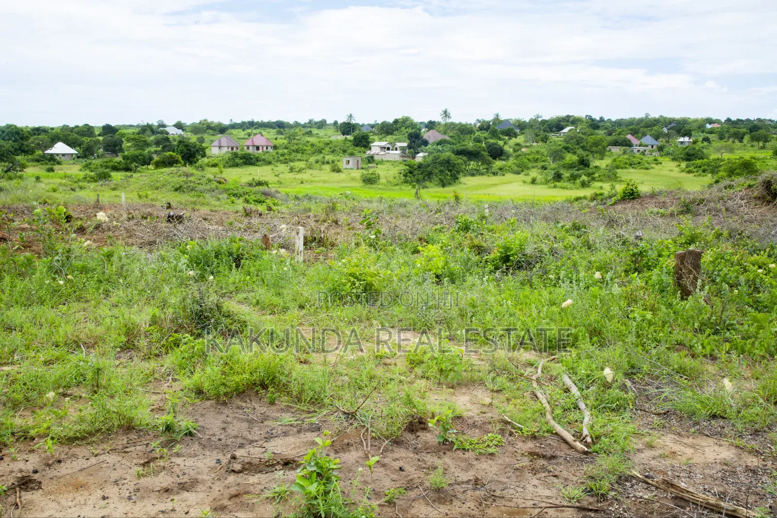 Mradi Mpya Bagamoyo Kilomo Shule Ya Msingi in Kiromo