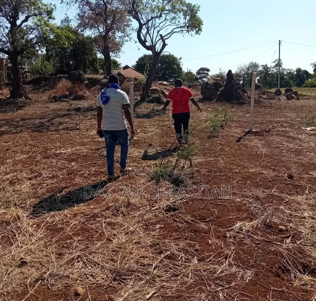 East Africa Road Kikwe, Nambala in Central Business Area