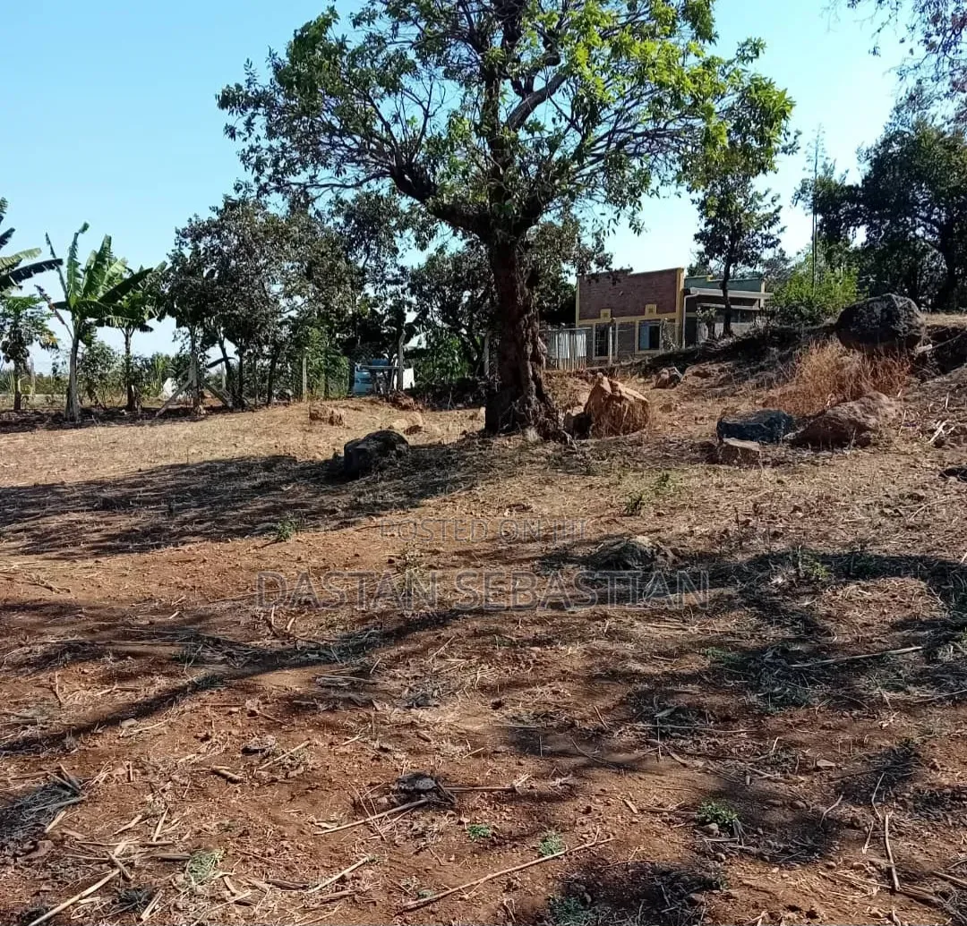 East Africa Road Kikwe, Nambala in Central Business Area