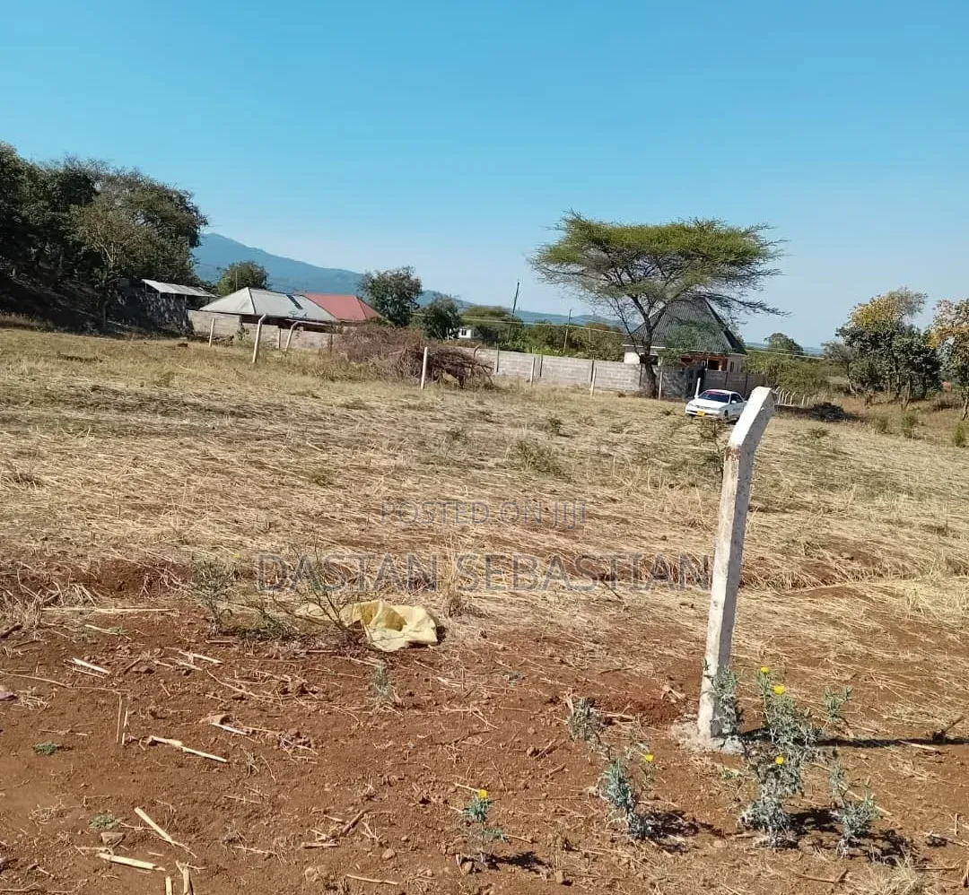 East Africa Road Kikwe, Nambala in Central Business Area