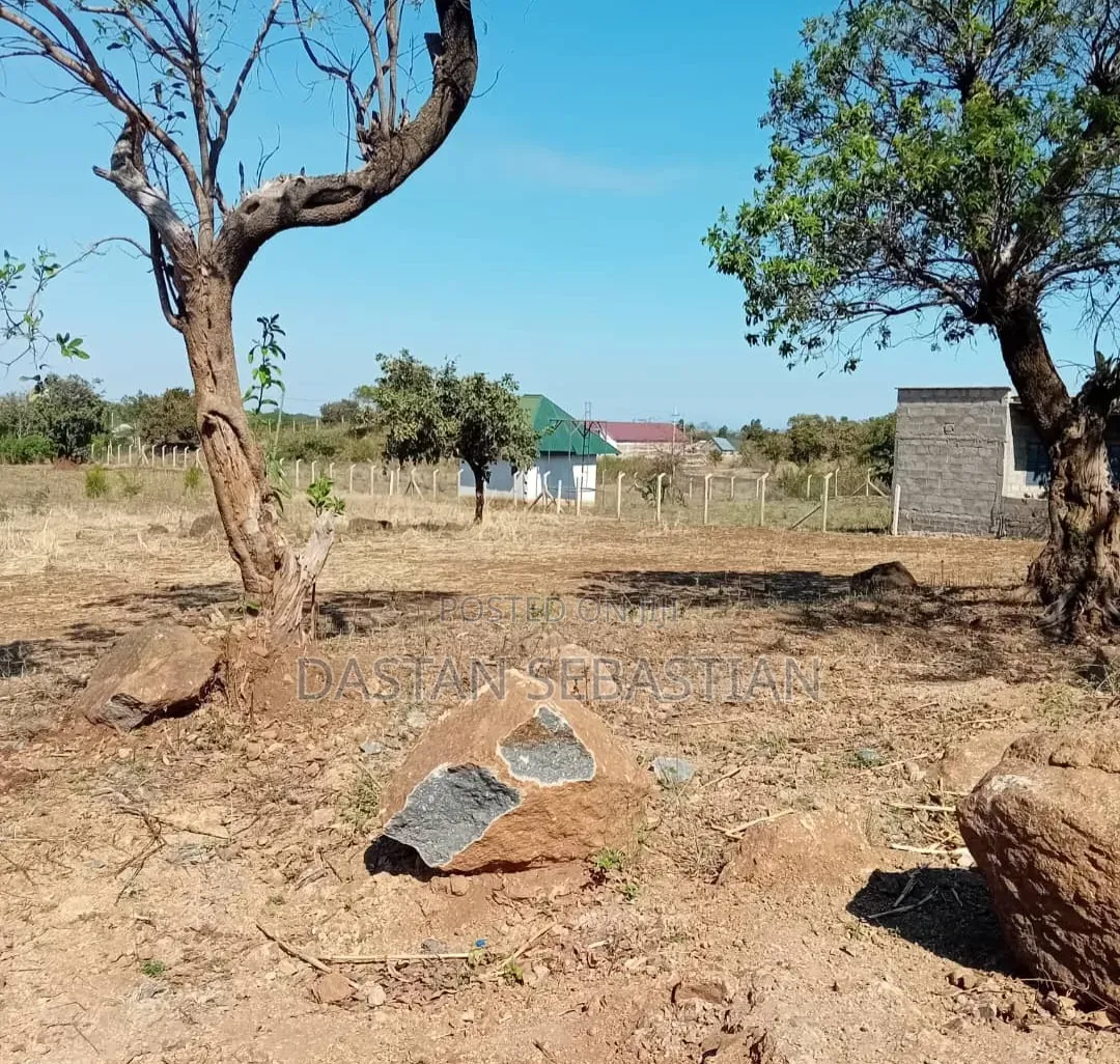 East Africa Road Kikwe, Nambala in Central Business Area