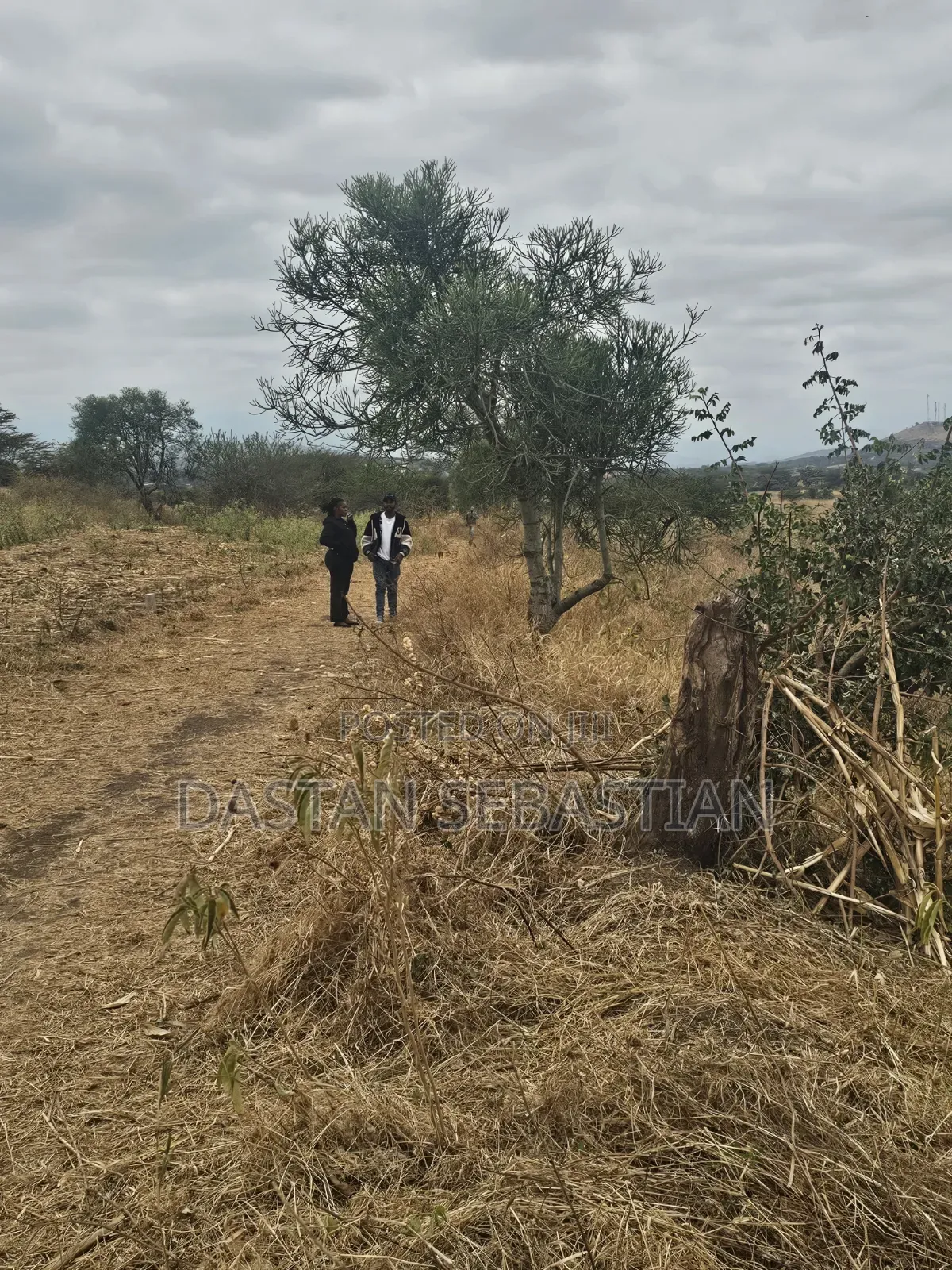 Kisongo Mradi Mpya Viwanja in Central Business Area