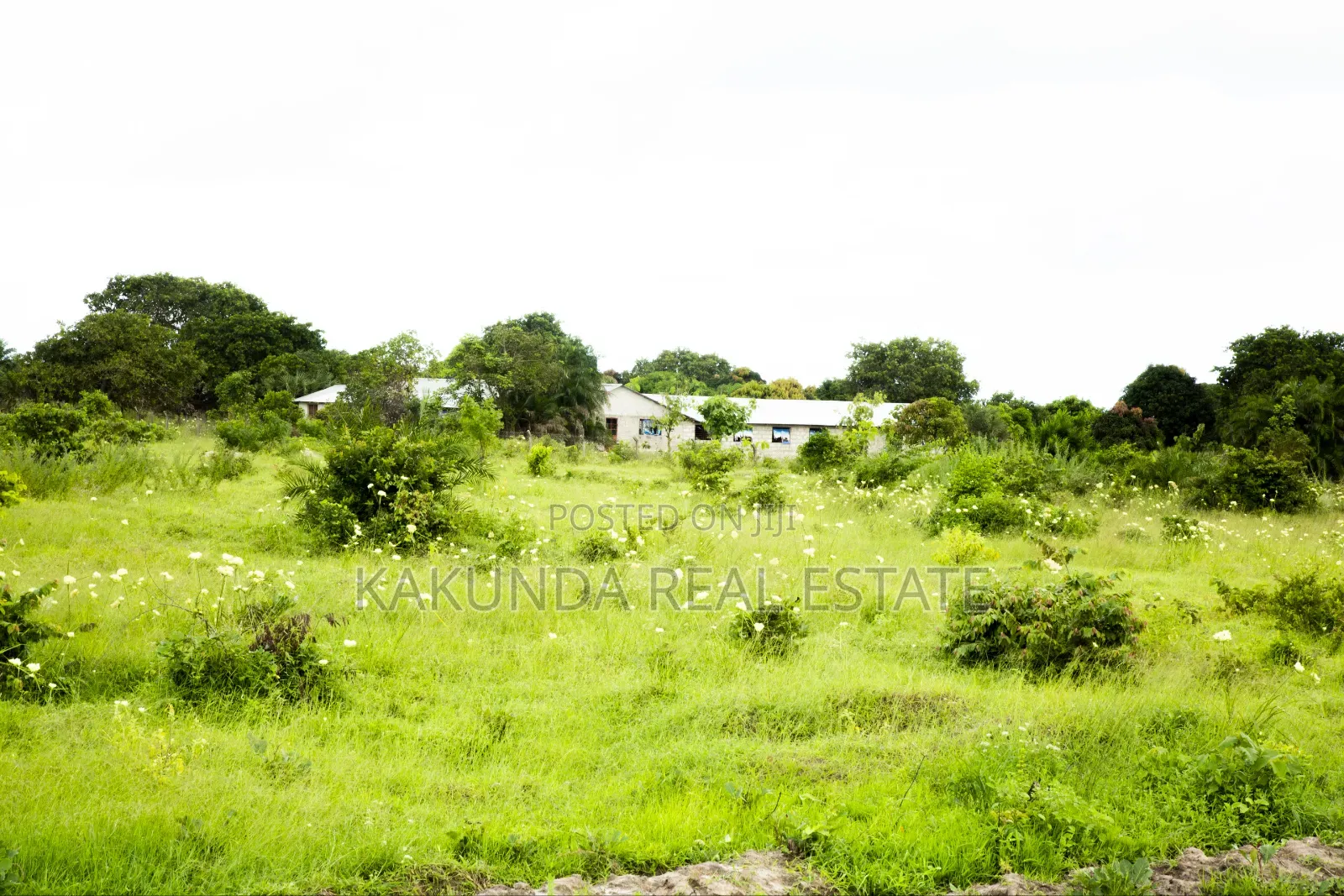 Viwanja VINAPATIKANA Kigamboni Tulivu in Kigamboni