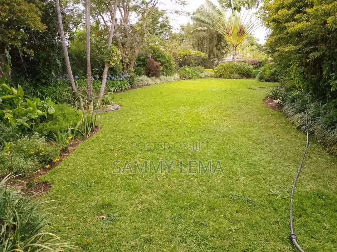 Furnished 3bdrm House in Sammy Said, Njiro for rent in Njiro