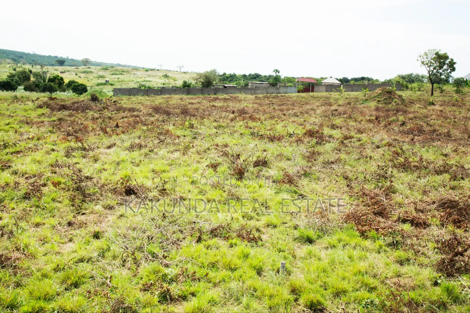 Miliki Kiwanja Kibaha Kumba Kwa Mfipa Viwanja Kwa in Maili Mmoja