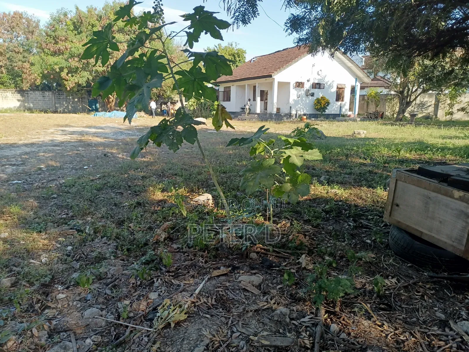 2600sqm Yard for Rent in Mikocheni in Mikocheni