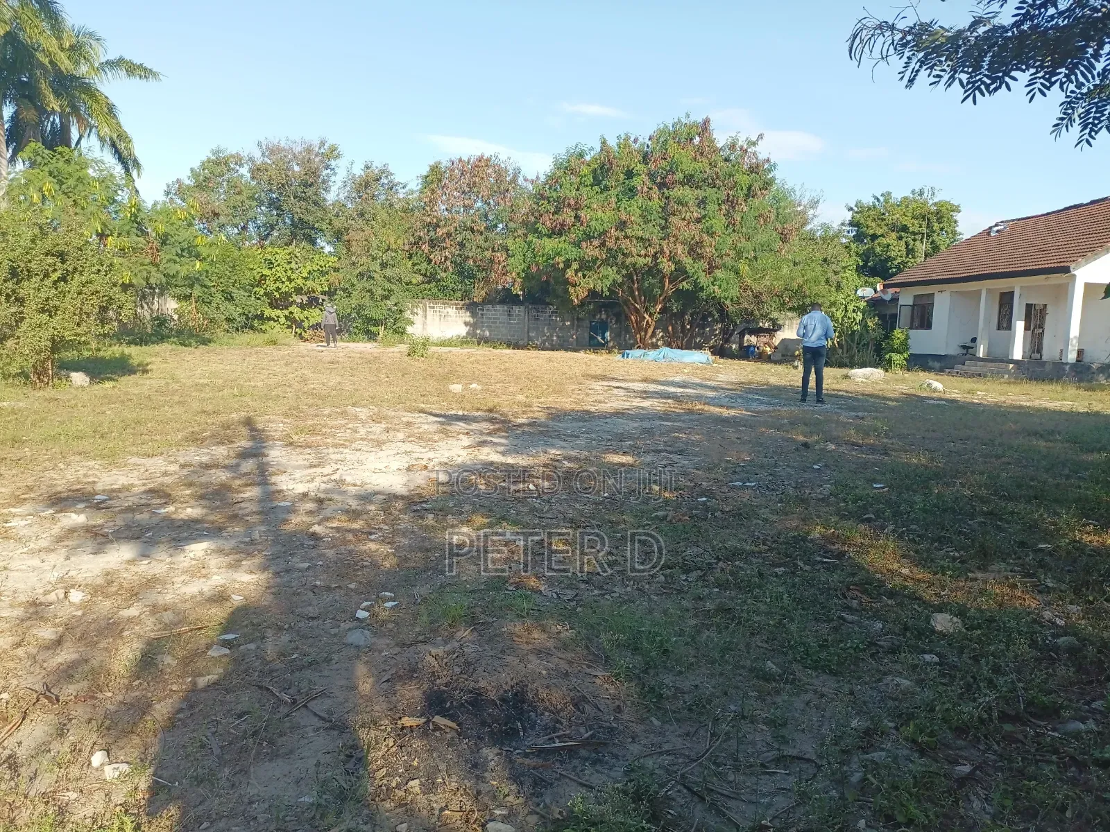 2600sqm Yard for Rent in Mikocheni in Mikocheni