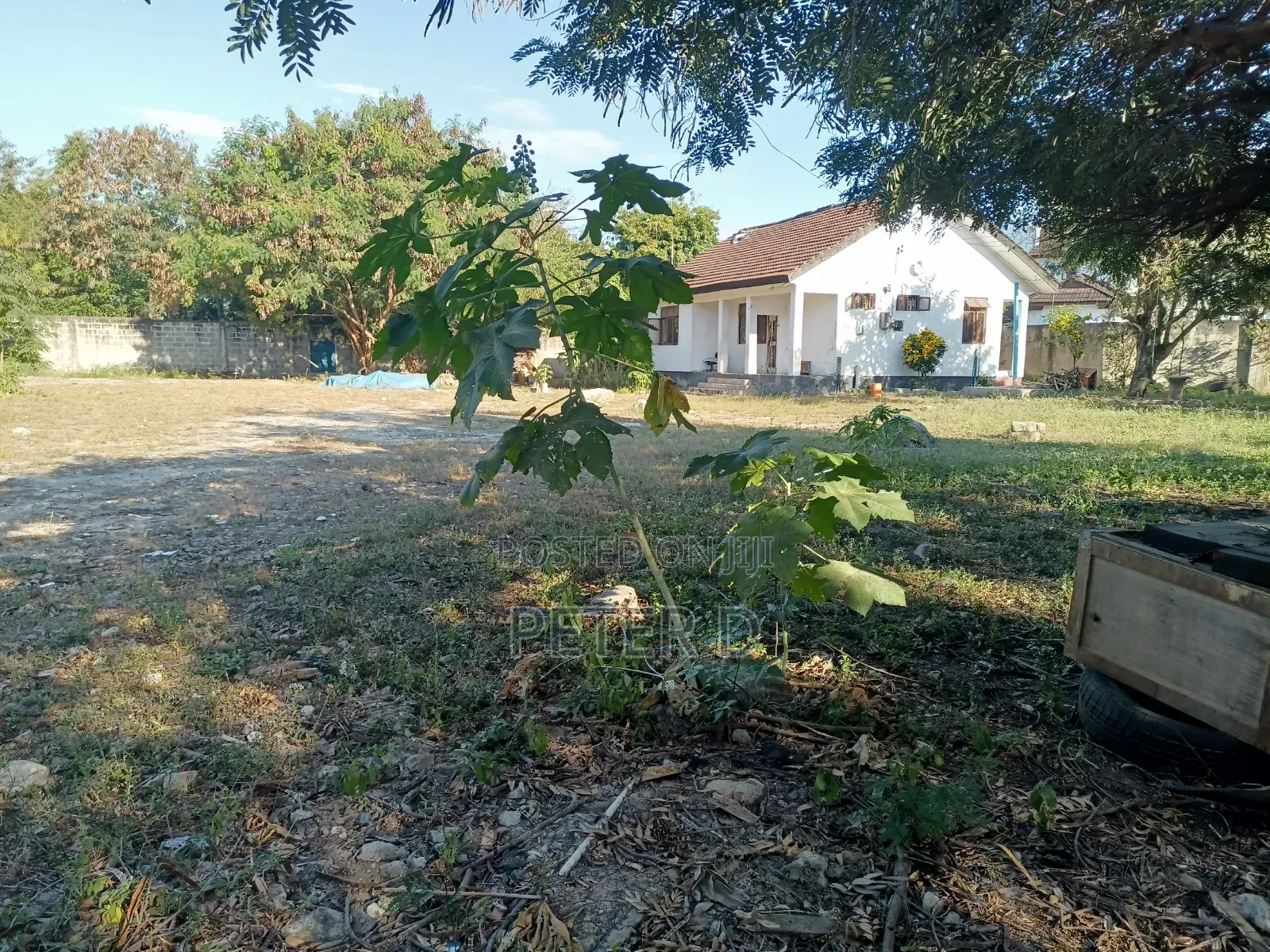 2600sqm Yard for Rent in Mikocheni in Mikocheni