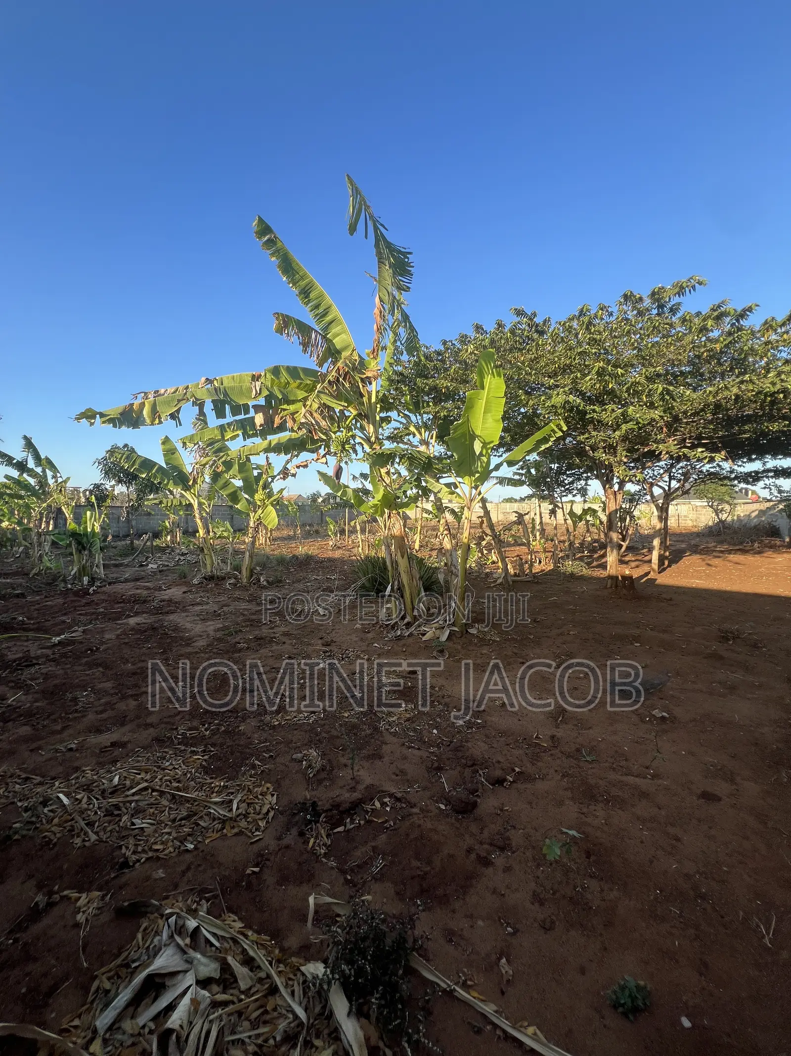 Plot for Sale in Bunju
