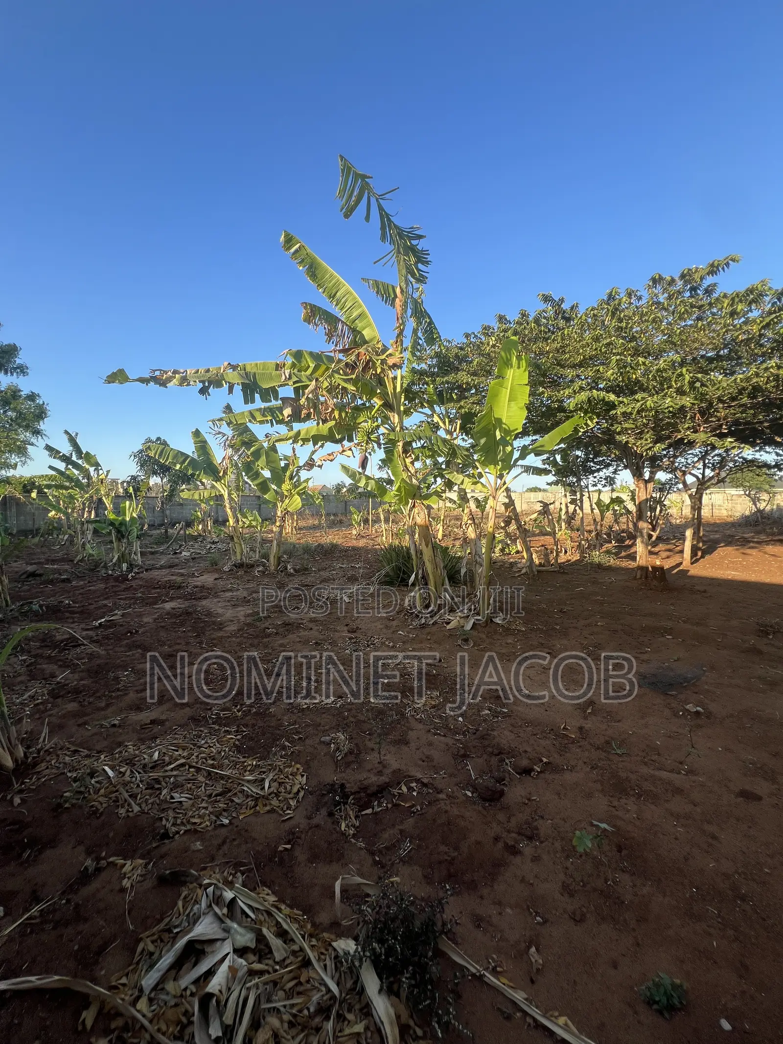 Plot for Sale in Bunju