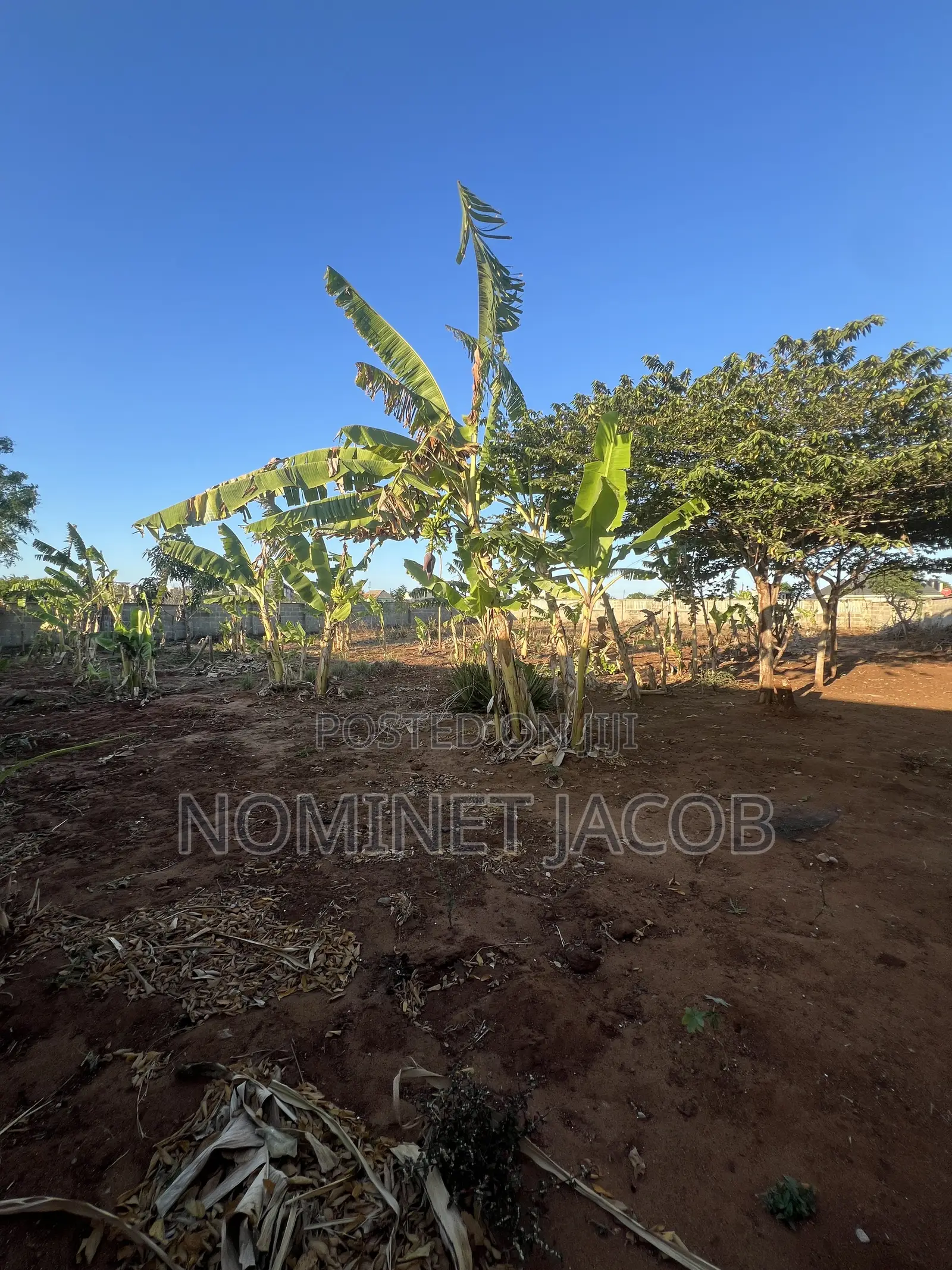 Plot for Sale in Bunju