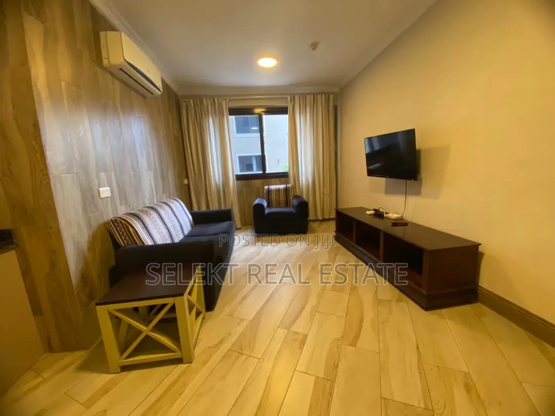 Furnished 1bdrm Apartment in Msasani for rent in Msasani