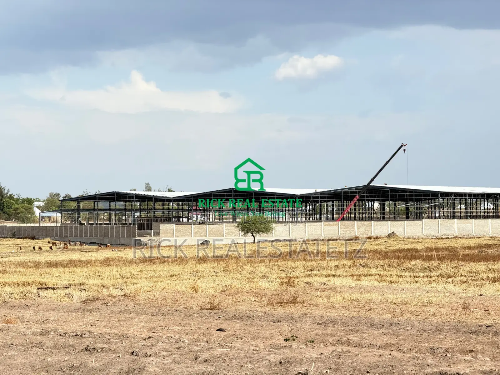 Eneo La Heka Mbili (2) Linauzwa Kisesa - Mkoroshoni in Kisesa